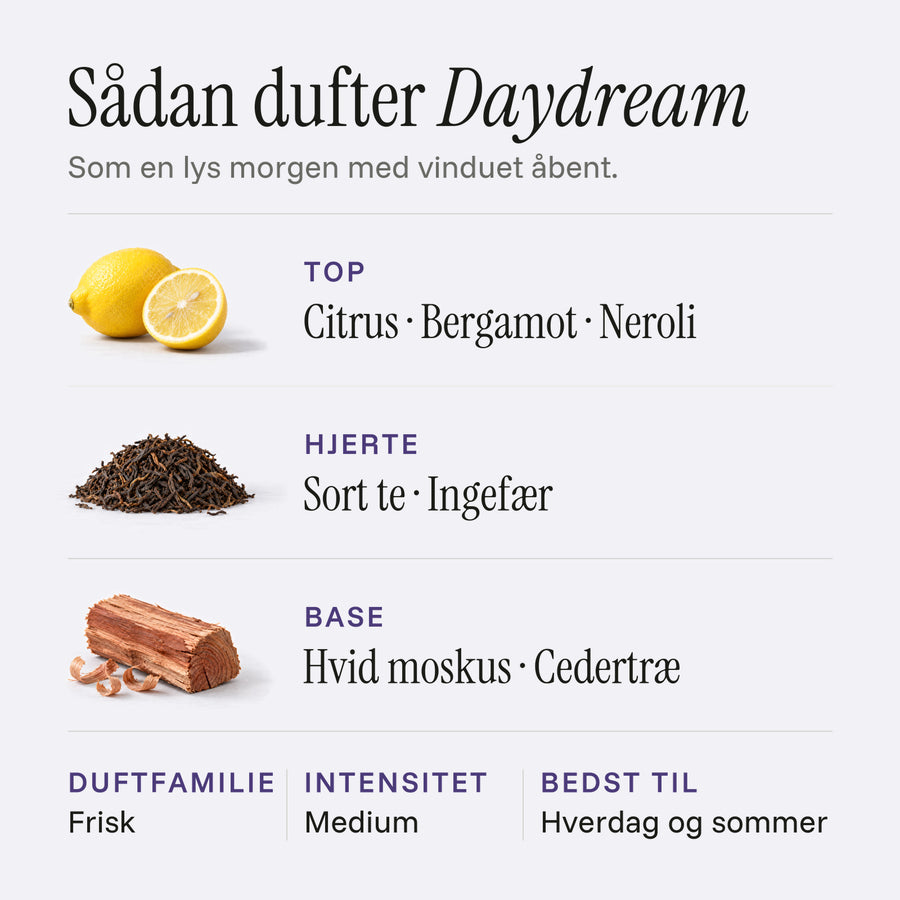 Daydream, image 2 of 11